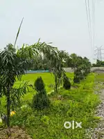 Land Area 1000  1250  1400  2000 Sqr Ft in Juggaur Satrikh Road