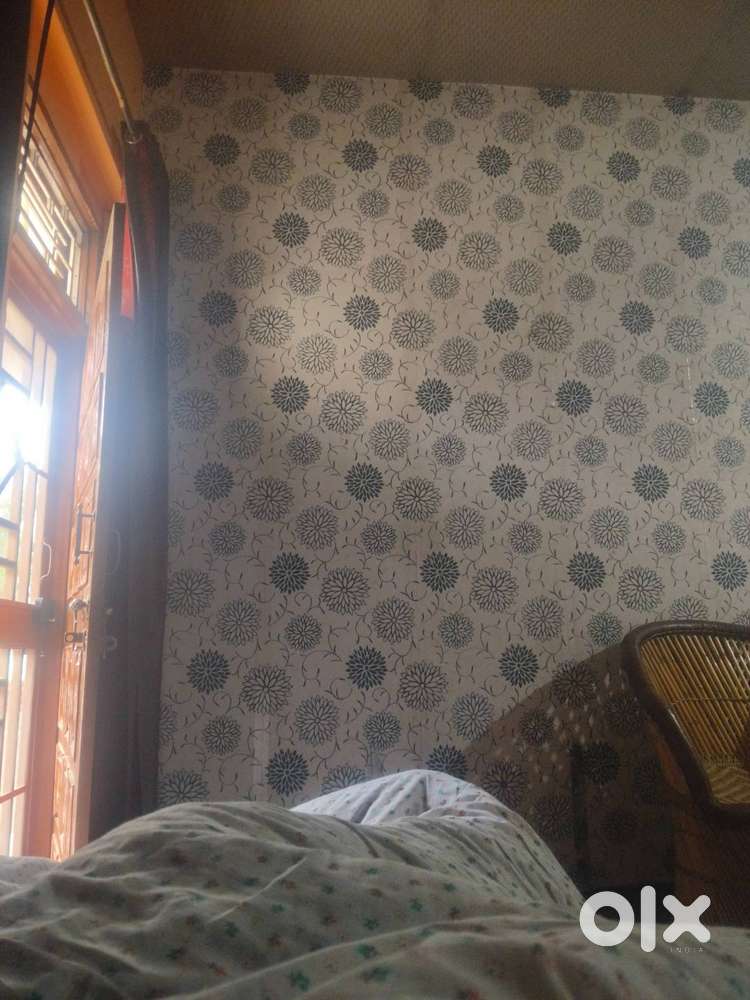 Single Room with attached let bath No kitchen.