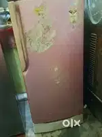 Single door refrigerator