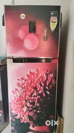 Samsung 265 Ltr Inverter Refrigerator