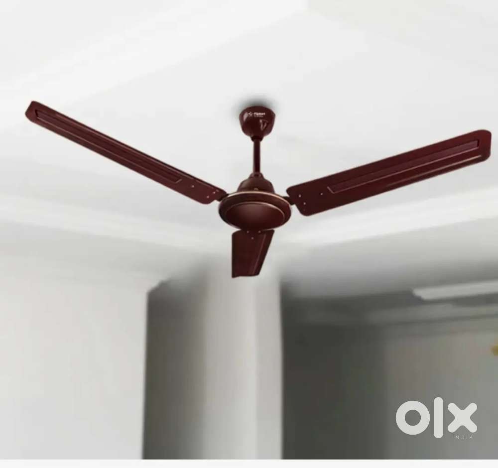 Ceiling fan