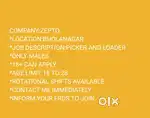 *WANTED MALE PICKERS *(BHOLANAGAR )