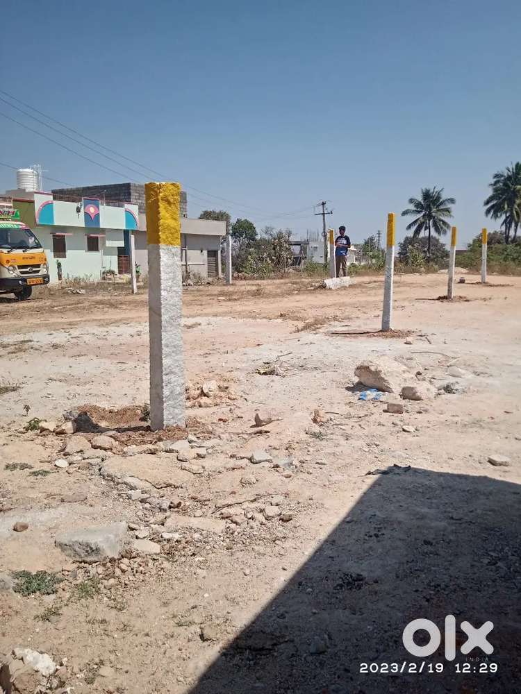 పుంగనూరు రోడ్డు సాయిబాబా గుడి వెనుక వైపు బసినికొండ మదనపల్లి