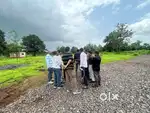 Full Nature view Greenary and Fertilize Land