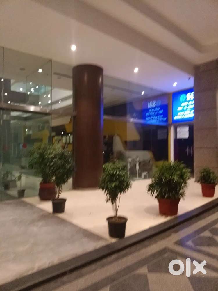 Washerman and delivery man