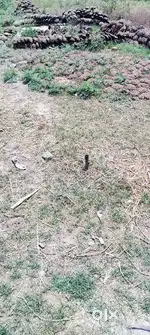 Plot for Sale at Lowest Price
