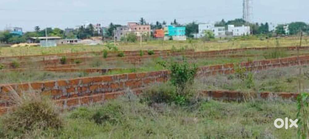 Plot for sale in Bhubaneswar patrapada 1000