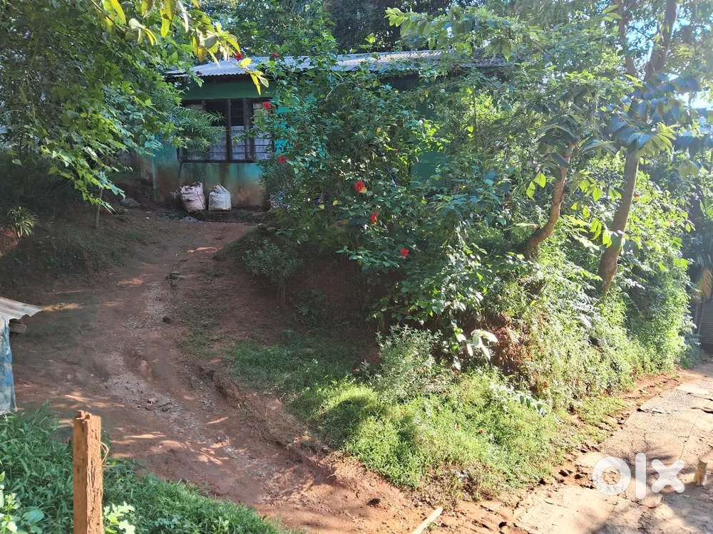 1katha 10 lessa Aksonia land with assam type house for sale