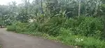 Land For Sale (5-cent)