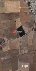 20 vigha land for sell at Dholi - Dholka