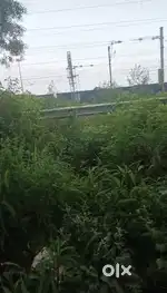 10 bigha agriculture land