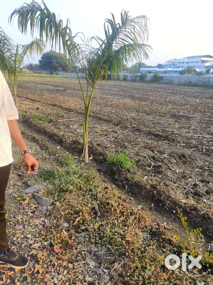 फार्महाउस जो एयरपोर्ट से ढाई किलोमीटर मेंन  हाईवे से 400 मीटर अंदर है