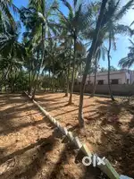 10cent Housing land for sale