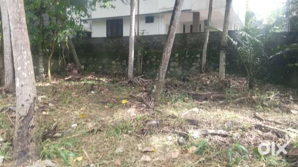 6 cents land for sale