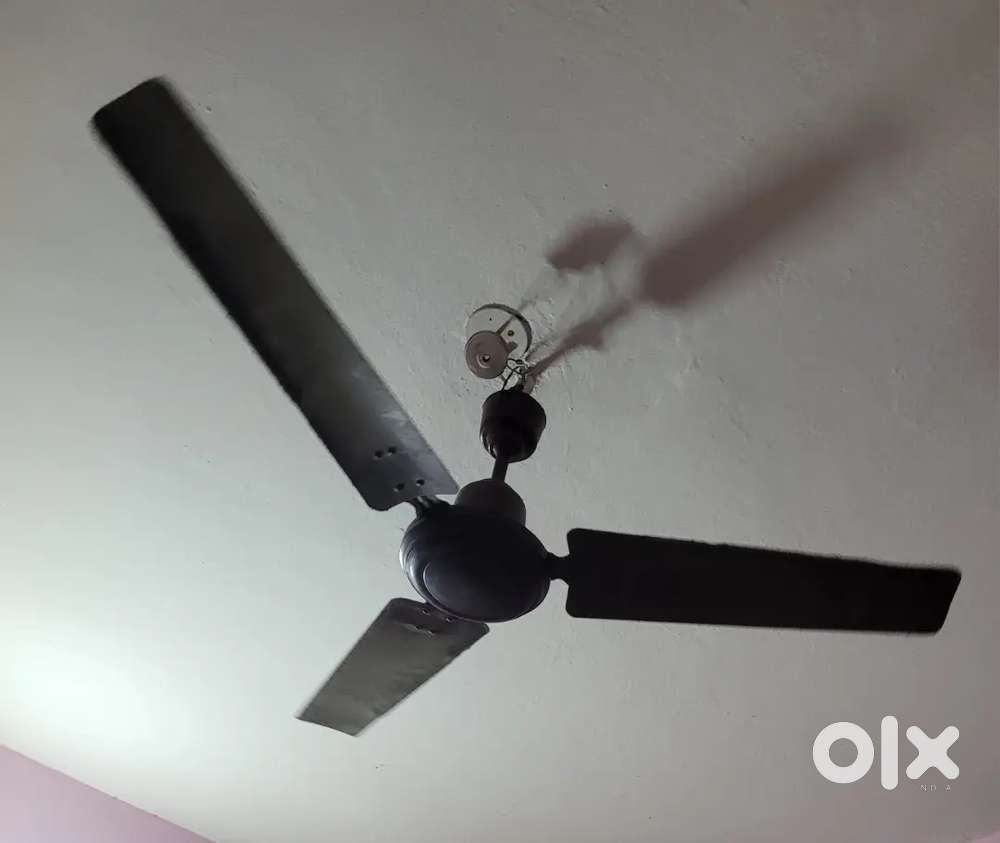 Ceiling fan