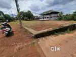 Pukkattupady bavapady 13cent land for sale