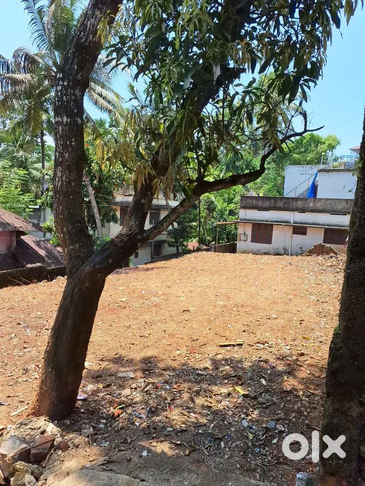 Residential Land for sale