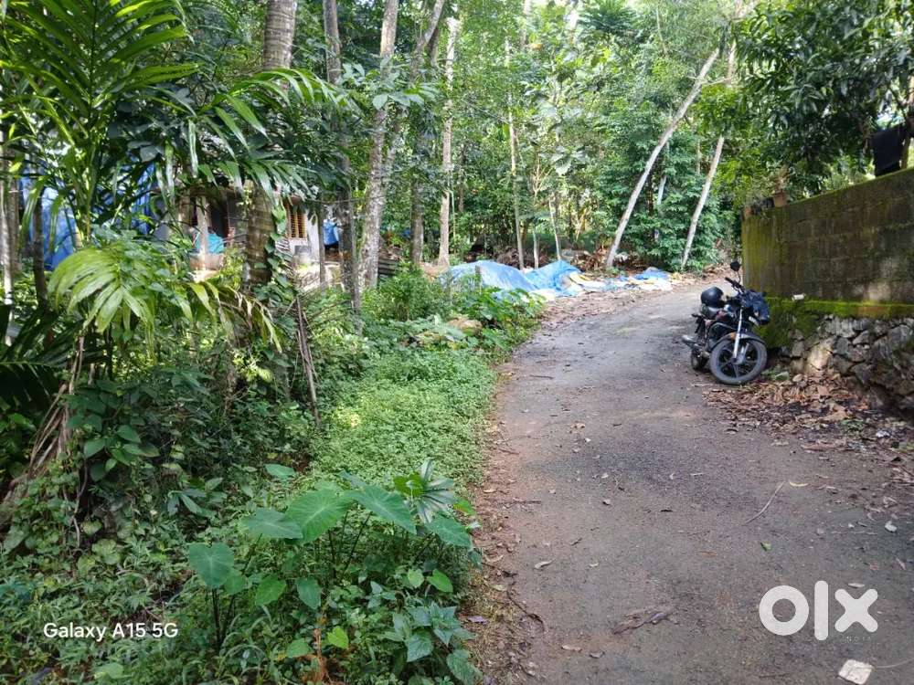 73 സെന്റ് വസ്തു വില്പനക്ക്