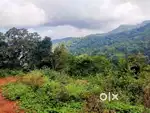 24 Acre agriculture and for sale in kodaikanal mountain range