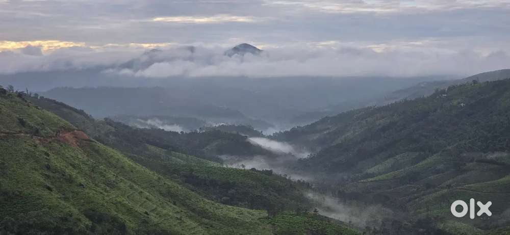 Full time Driver wanted at Ernakulam North