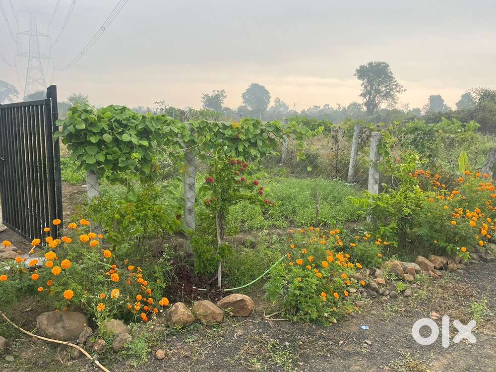 Black Soil, 4 Water Connection, 12 Ft Entry Gate, Bamboo Hut