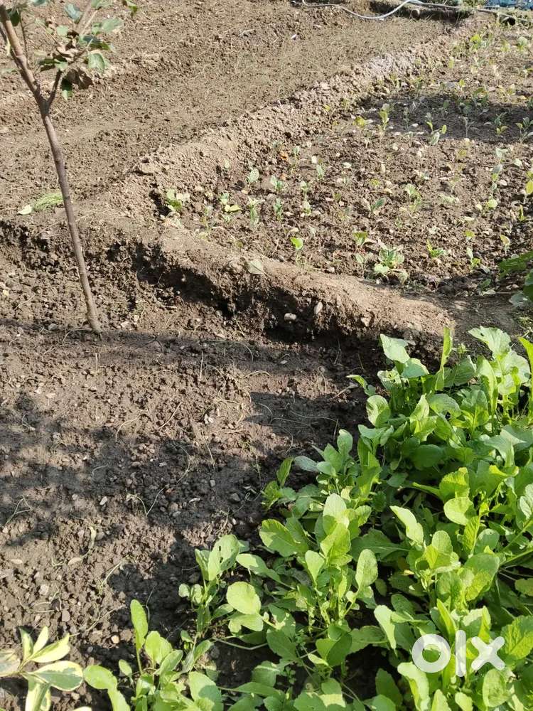 I'm selling my own 7 malras land