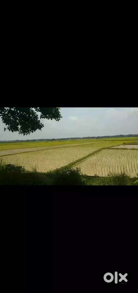 Dealing house nd plots in kendrapara