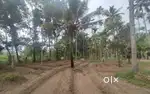 Land for sale - Mala