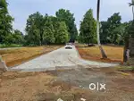 HOUSE PLOTS @ANGAMALY