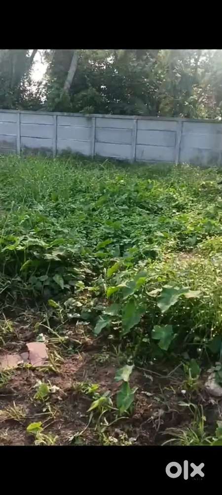 10 cent land for sale, Vallarpadam