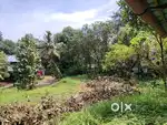10 cent plot for sale!