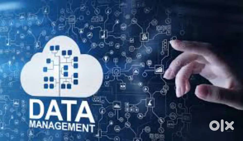 DATABASE MANGEMNT TRAINEE