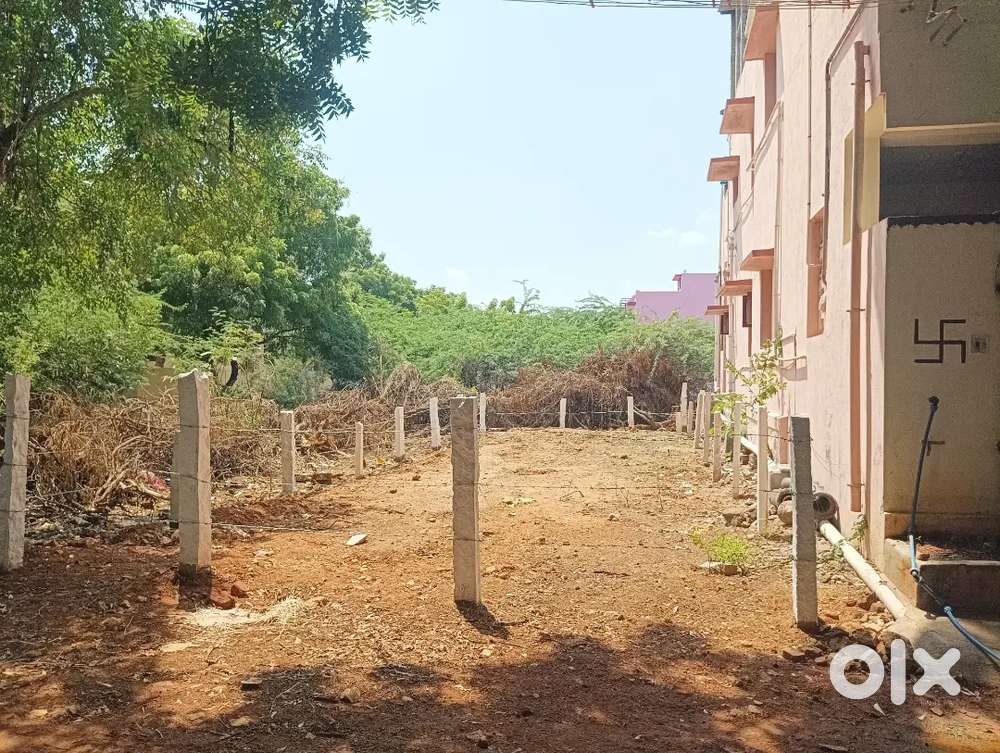 Karuppaurani Corporation limit