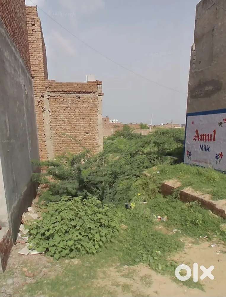 Shop for Sale in Auomarket Sirsa