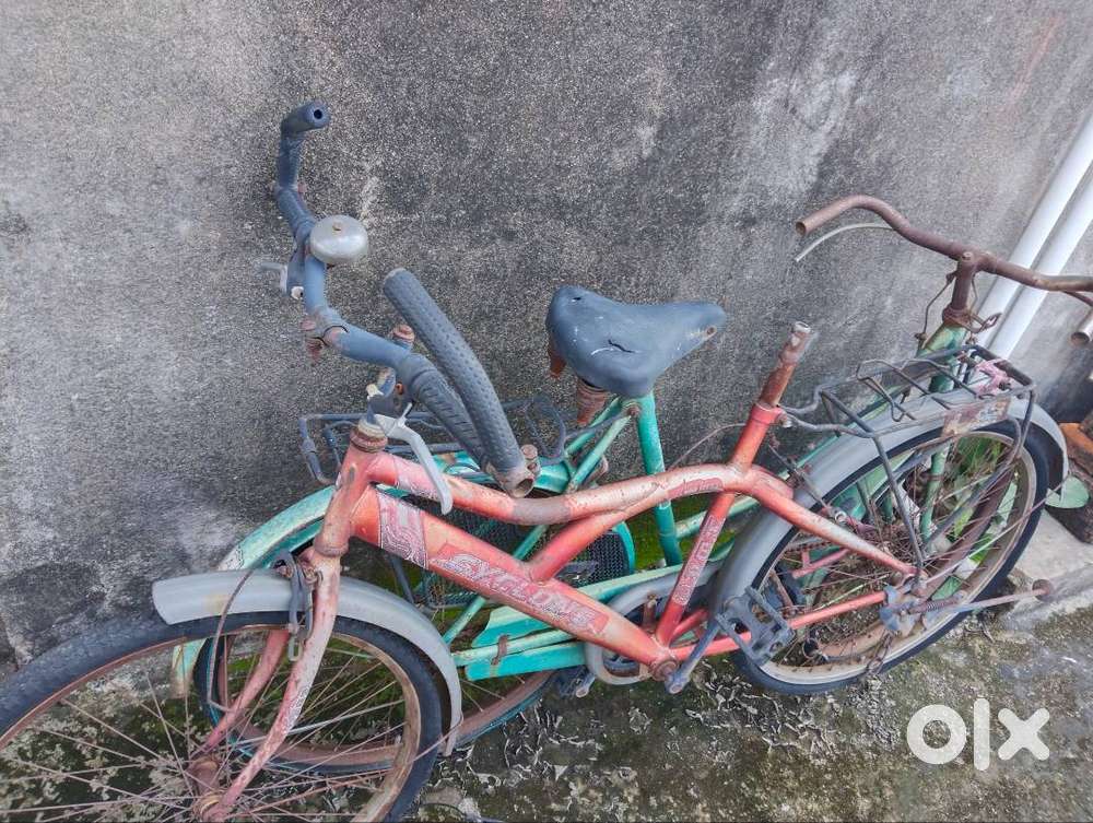 One ladies cycle and one gents cycle