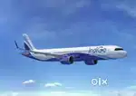 Ground Staff vacancy open in indigo Airlines online process