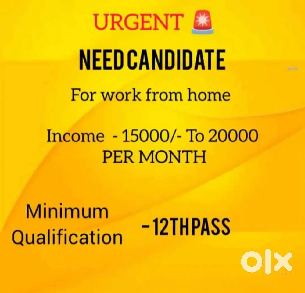 Work From Home Opportunity