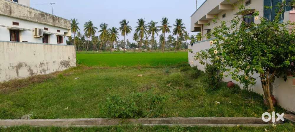 Brahmam Gari gudu vada