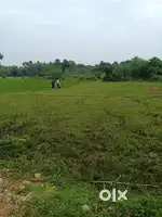 Framing land