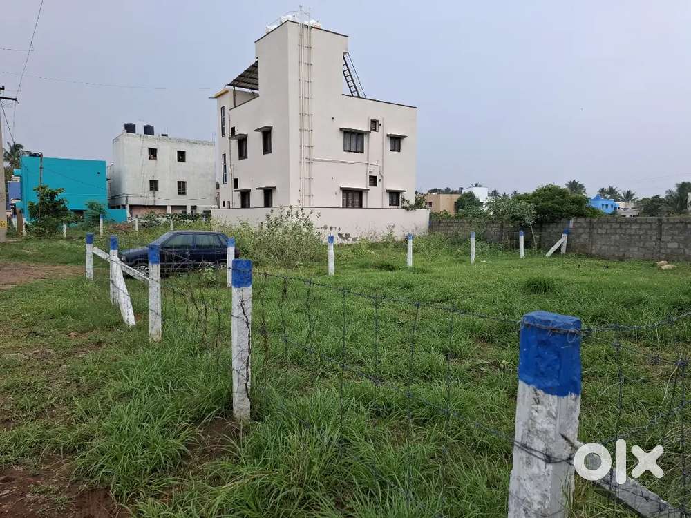 Panneer madai near