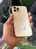 iPhone 12 pro max available in lovely colour