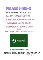 Van delivery executive