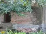 Plot for sale in shuklaganj Unnao, Awasthi Form house poni road