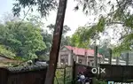 LAND FOR SALE DER KATHA NEAR HOLY NAME SCHOOL, SIVASAGAR