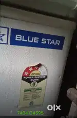 Blue Star Deepfreeze 500ltr