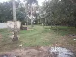 5 സെന്റ് പ്ലോട്ട് വിൽപ്പനയ്ക്ക് (5 cents plots for sale)