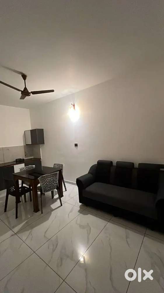 Kakkanad near bmc 1 Bhk New apartment for rent