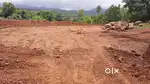 Plot in bhor