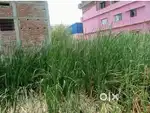 Talab par hai G T road se 50 meter Ander sidha rasta milega