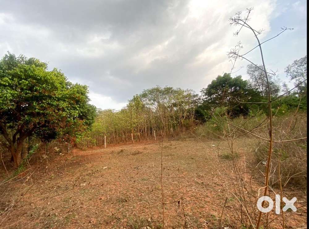 10 Gunta Plot in Rashi farm Sattur